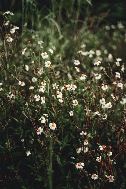 handbook of 200 medicinal plants pdf